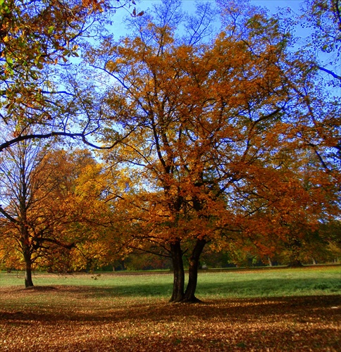 "bezmenná"