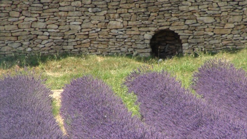 levanduľová..