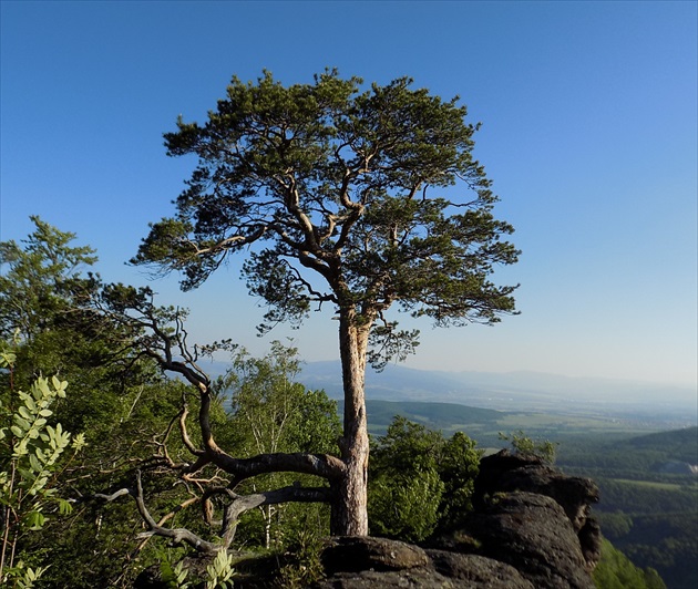 na Veľkej skale