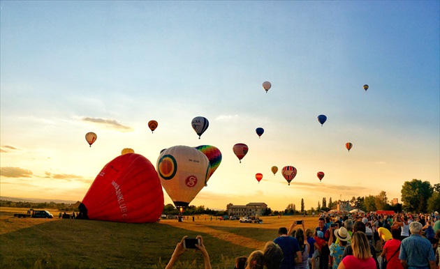 Baloo day Olomouc