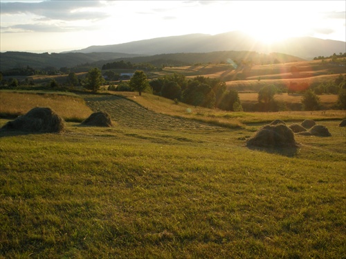 Bratkovica