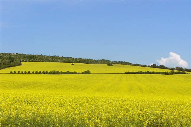 Zlatá krajina