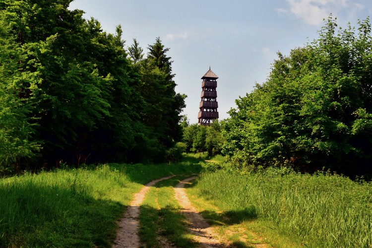 Rozhľadňa Púchovskej doliny