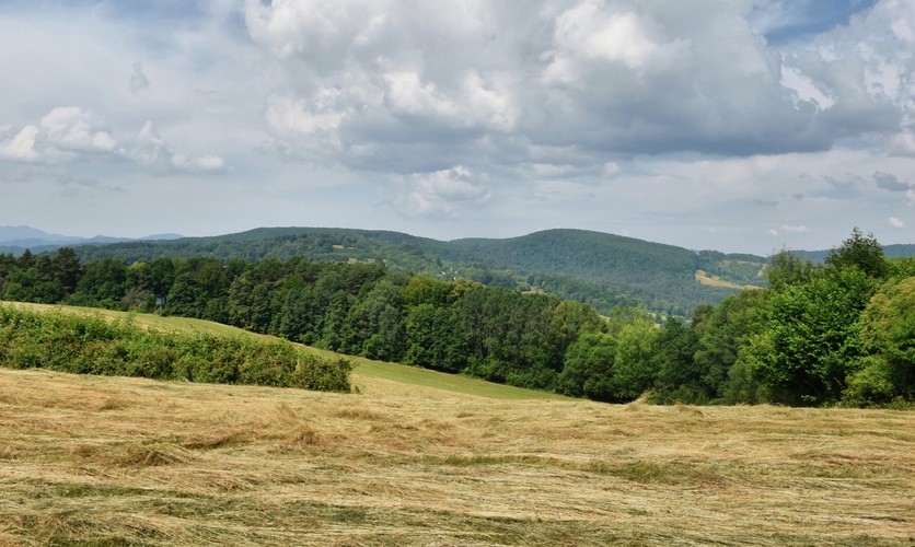 Leto v krajine