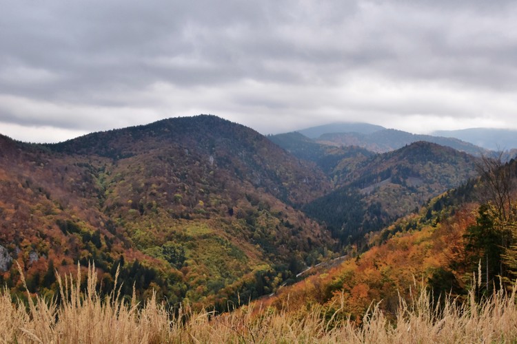 Výhľad z vrchu Čipčie (926 m.n.m.)