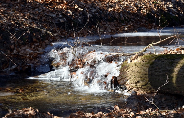 Jarné vody