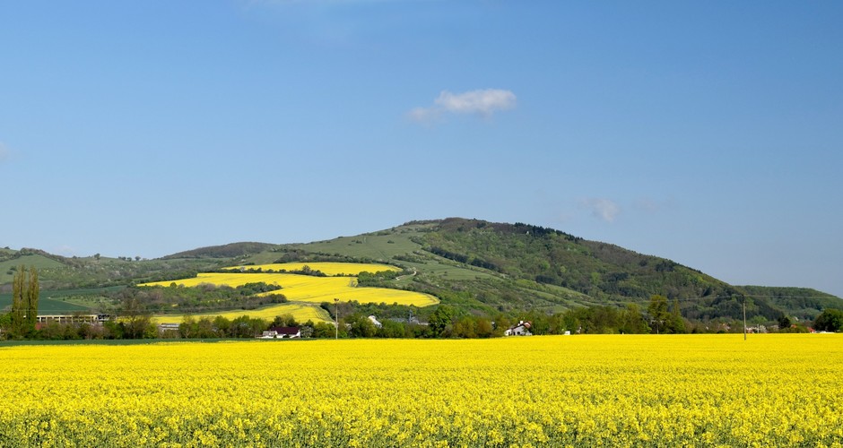 Zlatá krajina