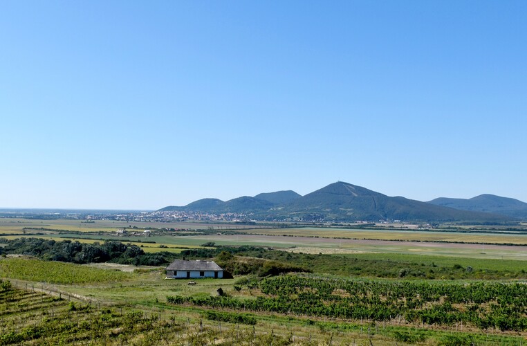 Výhľad z rozhľadne Tokaj