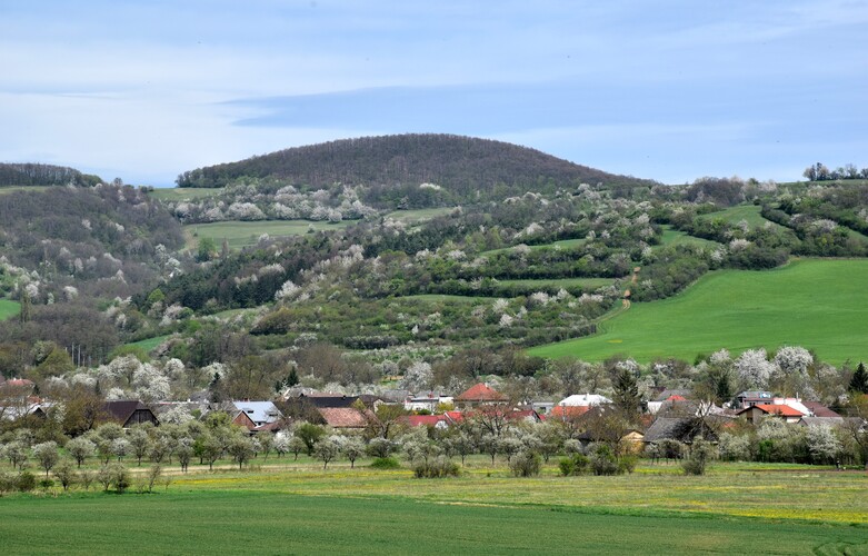 Bošácka jar