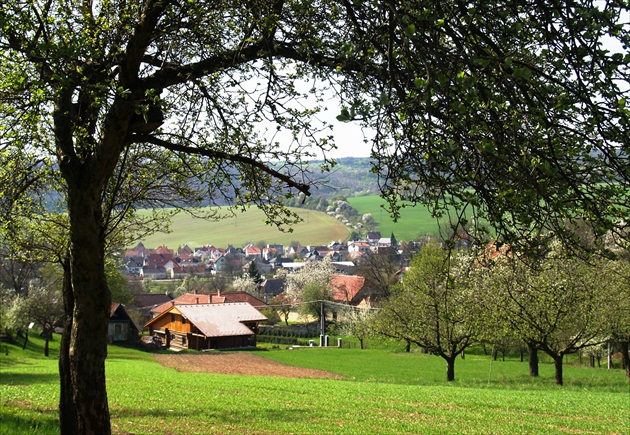 rodná - pod jabloňou