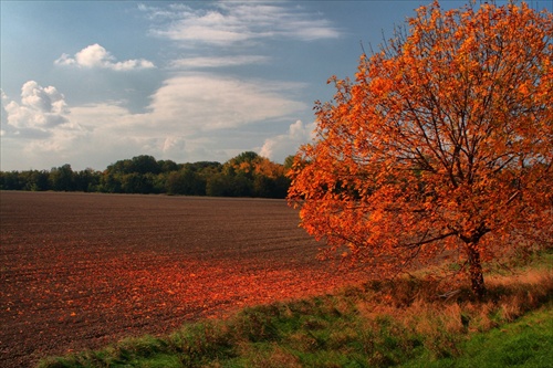 Farebný tieň