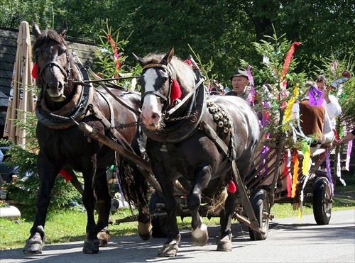 Na folklórnych slávnostiach