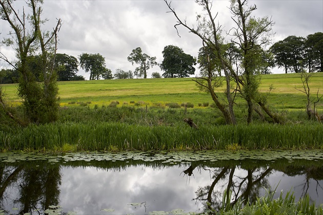 Forth and Clyde Canal