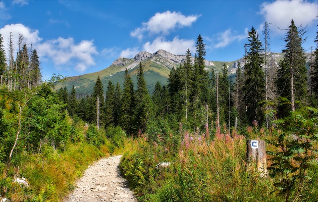 Na Zelené pleso.