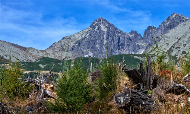 Kolobeh života.