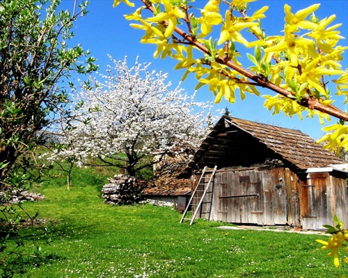 jarné prebúdzanie