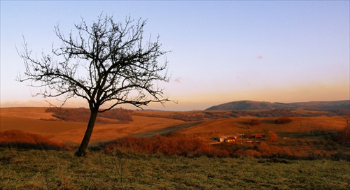 brieždenie