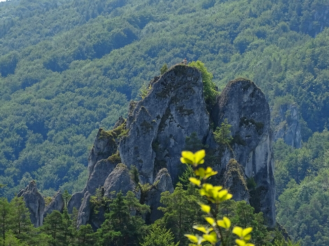 Na skale vysokej....