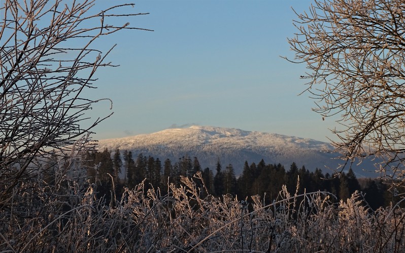 Babia hora