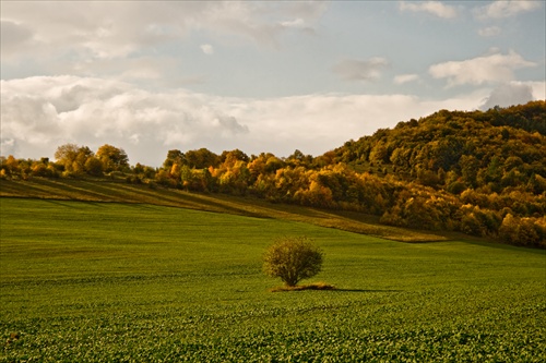 jeseň