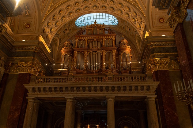 Organ