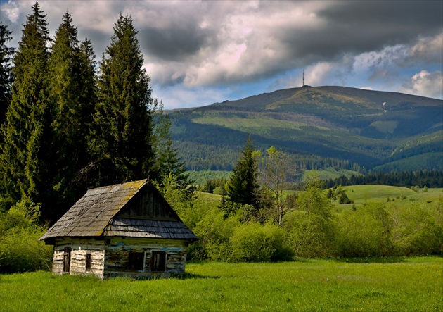 Drevenica pod Kráľovou hoľou