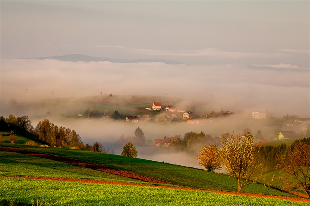 Ráno na lazoch.