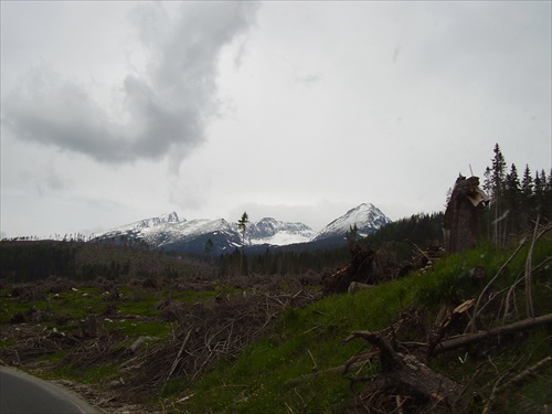 tatry bez stromov