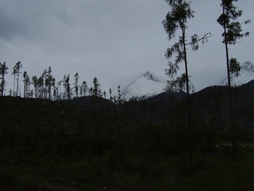 Vysoké Tatry