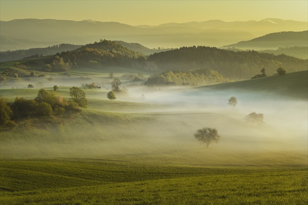 ranné prebúdzanie