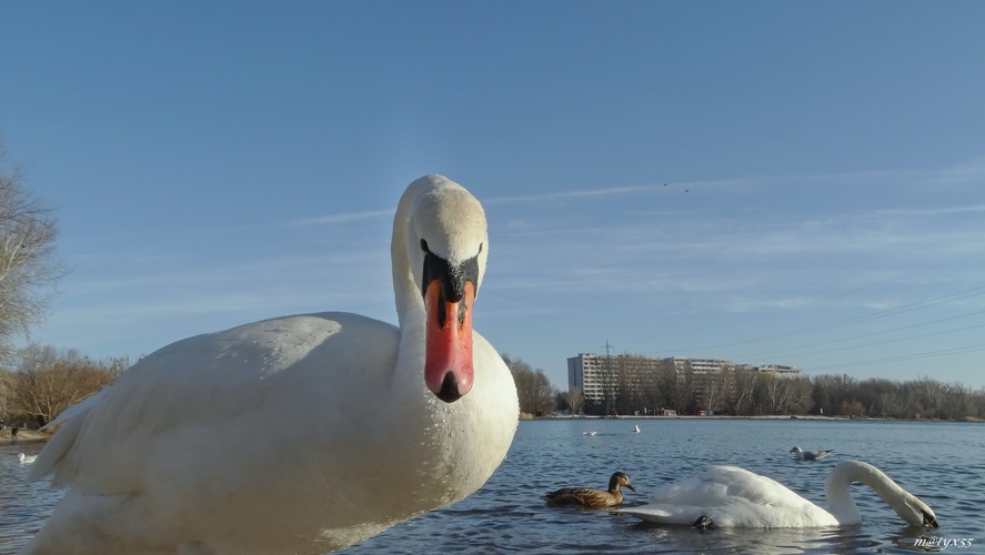 pozri sa mi do očí,keď sa nebojíš...