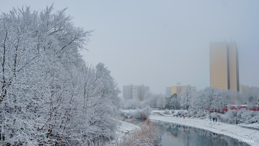 novoročná prechádzka II