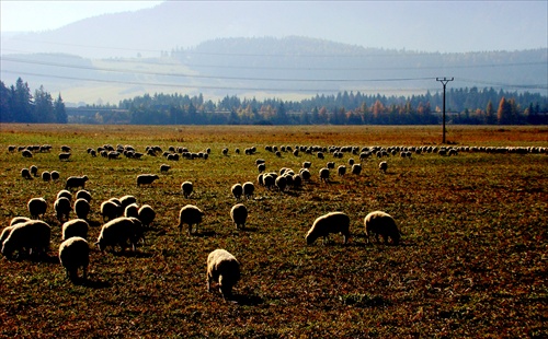 Liptovská rovina