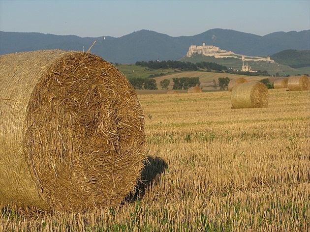 Po žatve ...