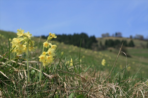 Slovenska krajinka