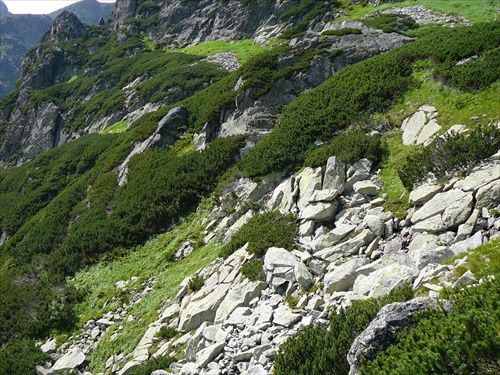 Vysoké Tatry