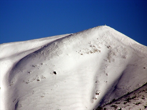 Buduci ciel