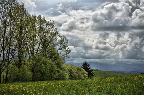 HDR lúka