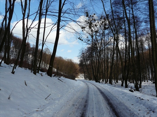 Cesta na Majdáni