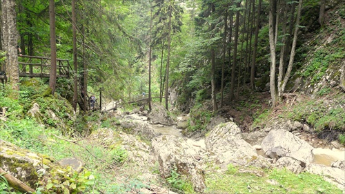 Barenschutzklamm