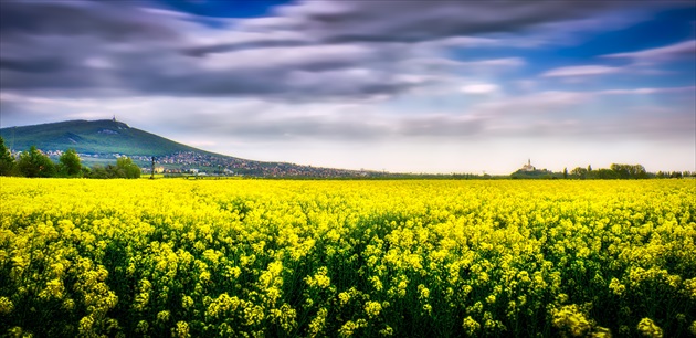 Slovakia, Nitra: New Hope #PHOTOFRANO