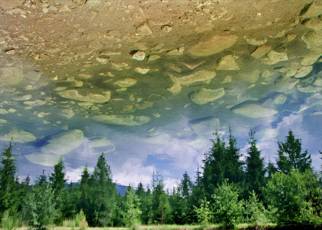 lake reflection