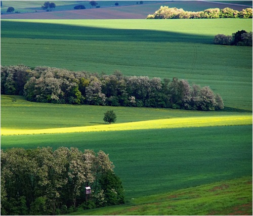 páskovaná