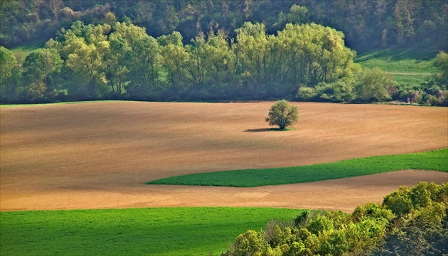 ..cestou na zelený koberec..