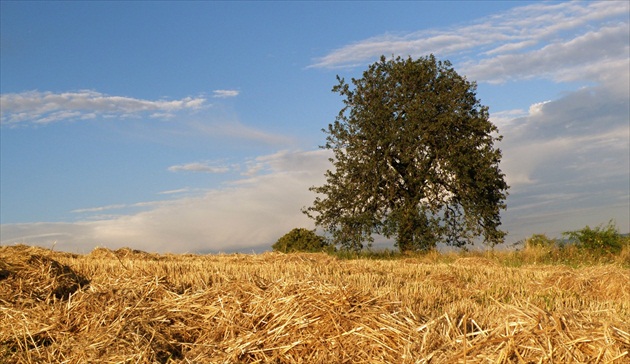 ..augustová 2..