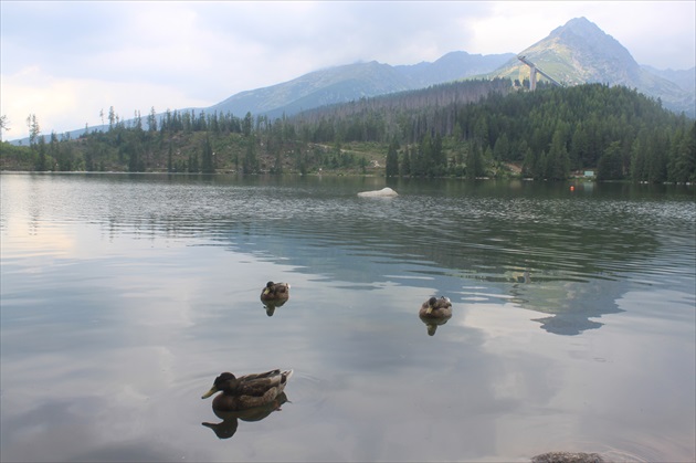 Štrbské pleso