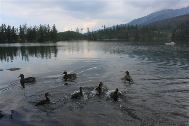 Štrbské pleso s osadníkmi