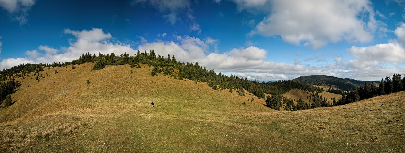 Vľavo Skalná Alpa a vpravo Malá Smrekovica, Veľká Fatra.