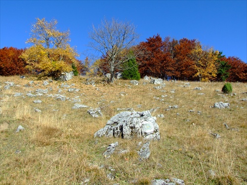 jeseň vo Fatre