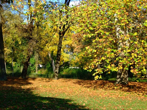 Tovarnícky park